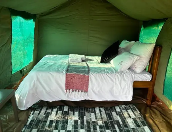 2.bed