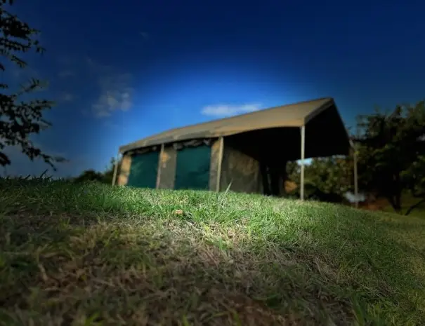 3.side