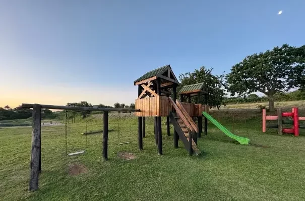 gallery-6